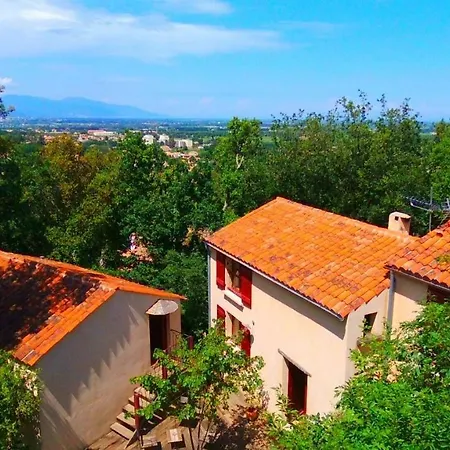 Cabanon De La Maison De La Vigne * Venzolasca