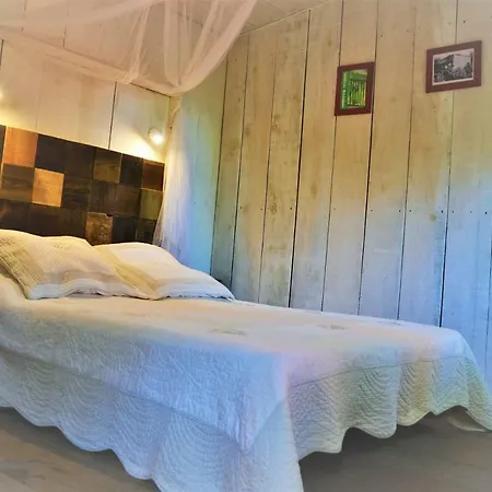 Cabanon De La Maison De La Vigne Luxury tent Venzolasca